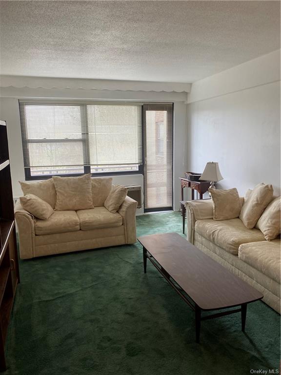 155 Ferris Avenue #8F, White Plains, New York image 10