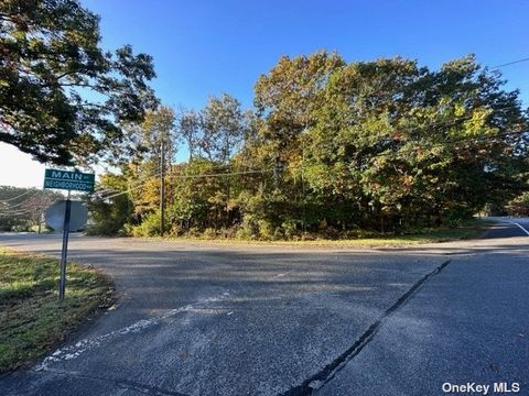 Vacant Land For Sale - VL Neighborhood Road<br/> Mastic, NY 11950