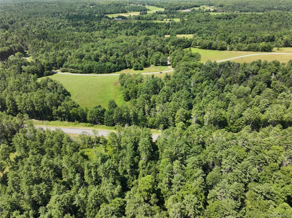 5 Pine Meadows Farm, Old County Road, Cochecton, New York image 10