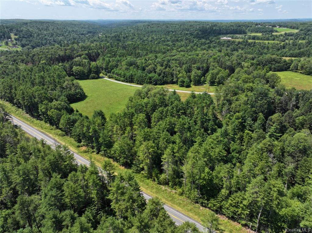 5 Pine Meadows Farm, Old County Road, Cochecton, New York image 11