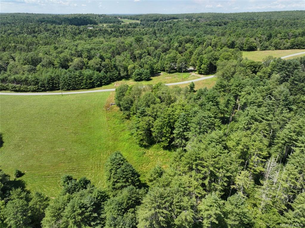 5 Pine Meadows Farm, Old County Road, Cochecton, New York image 3