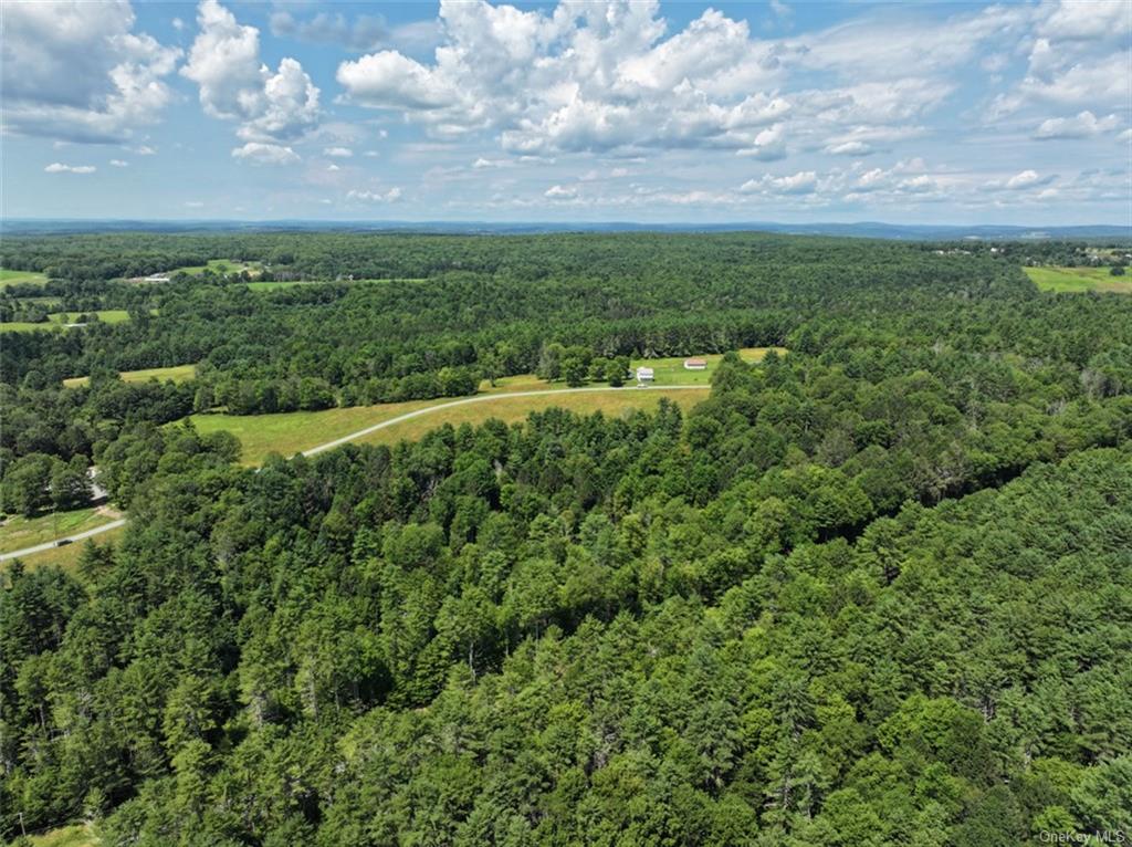 5 Pine Meadows Farm, Old County Road, Cochecton, New York image 8