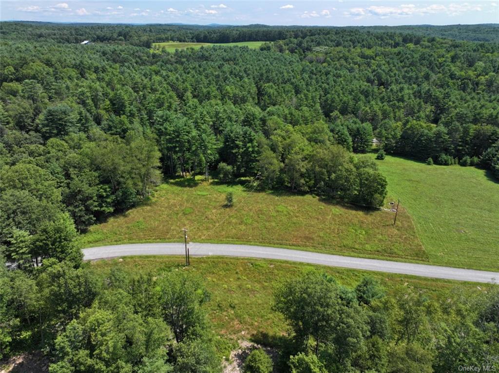 5 Pine Meadows Farm, Old County Road, Cochecton, New York image 1