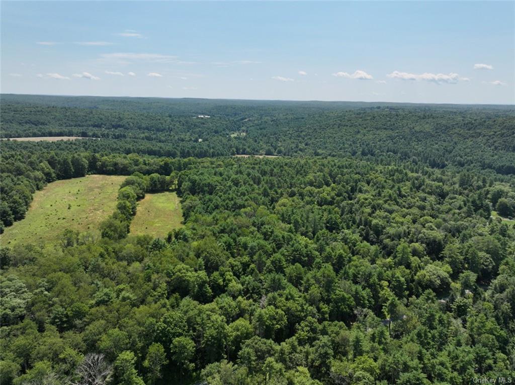 5 Pine Meadows Farm, Old County Road, Cochecton, New York image 6