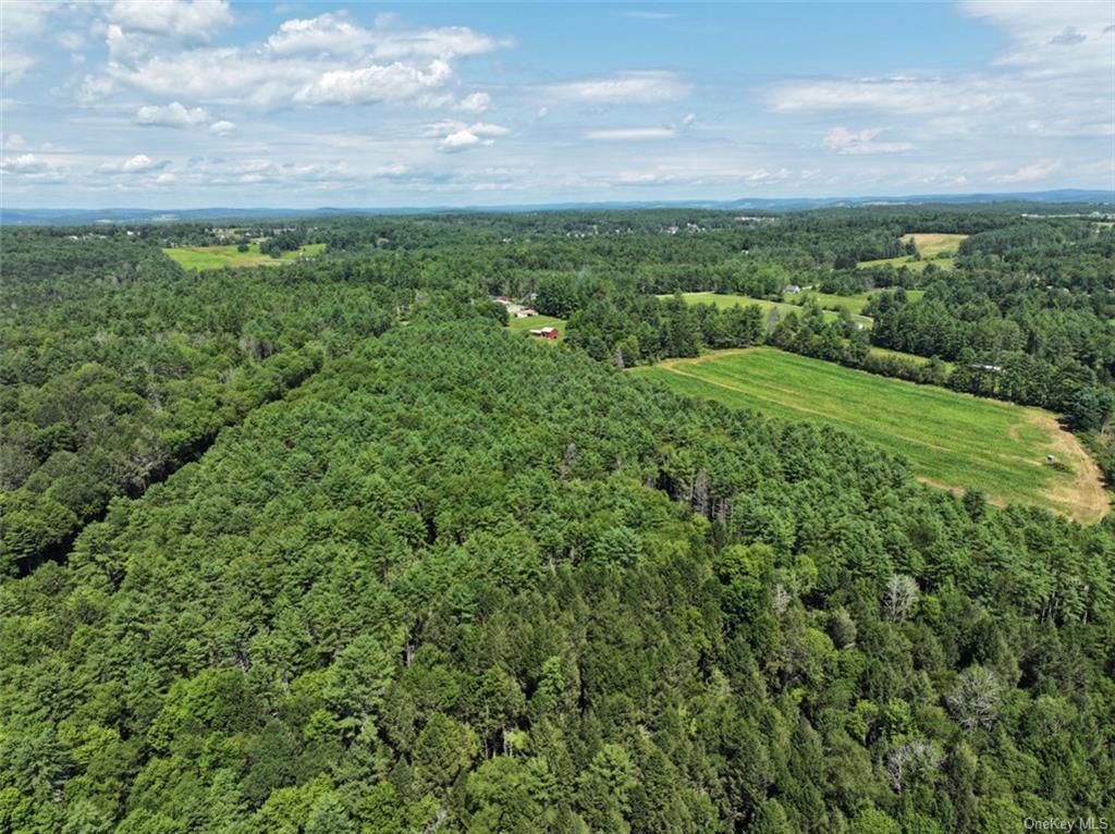 5 Pine Meadows Farm, Old County Road, Cochecton, New York image 4