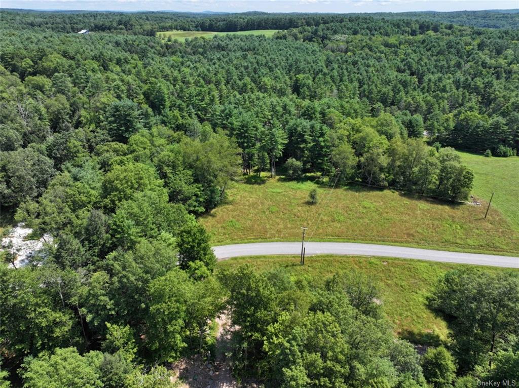 5 Pine Meadows Farm, Old County Road, Cochecton, New York image 2