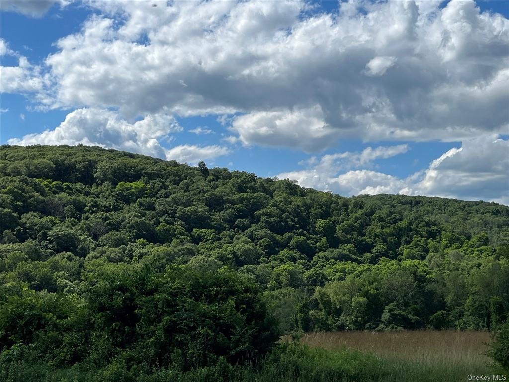 Cascade Mt / Perrys Corners, Amenia, New York image 4