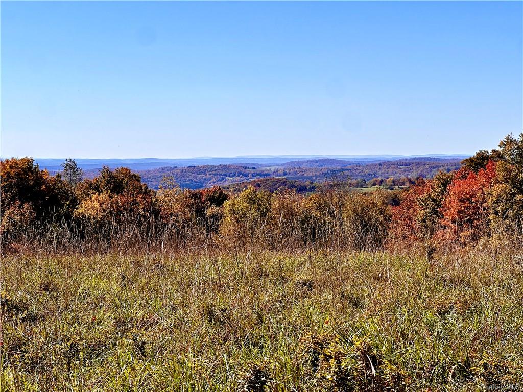 344 Midway Road, Livingston Manor, New York image 6