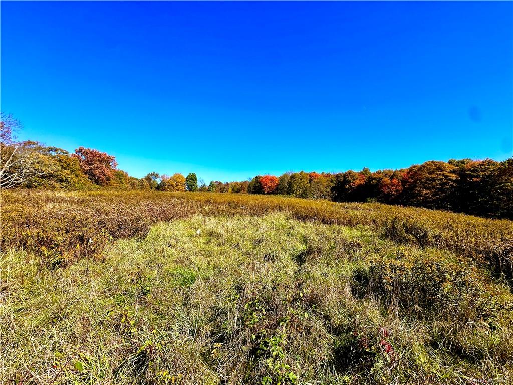 344 Midway Road, Livingston Manor, New York image 8