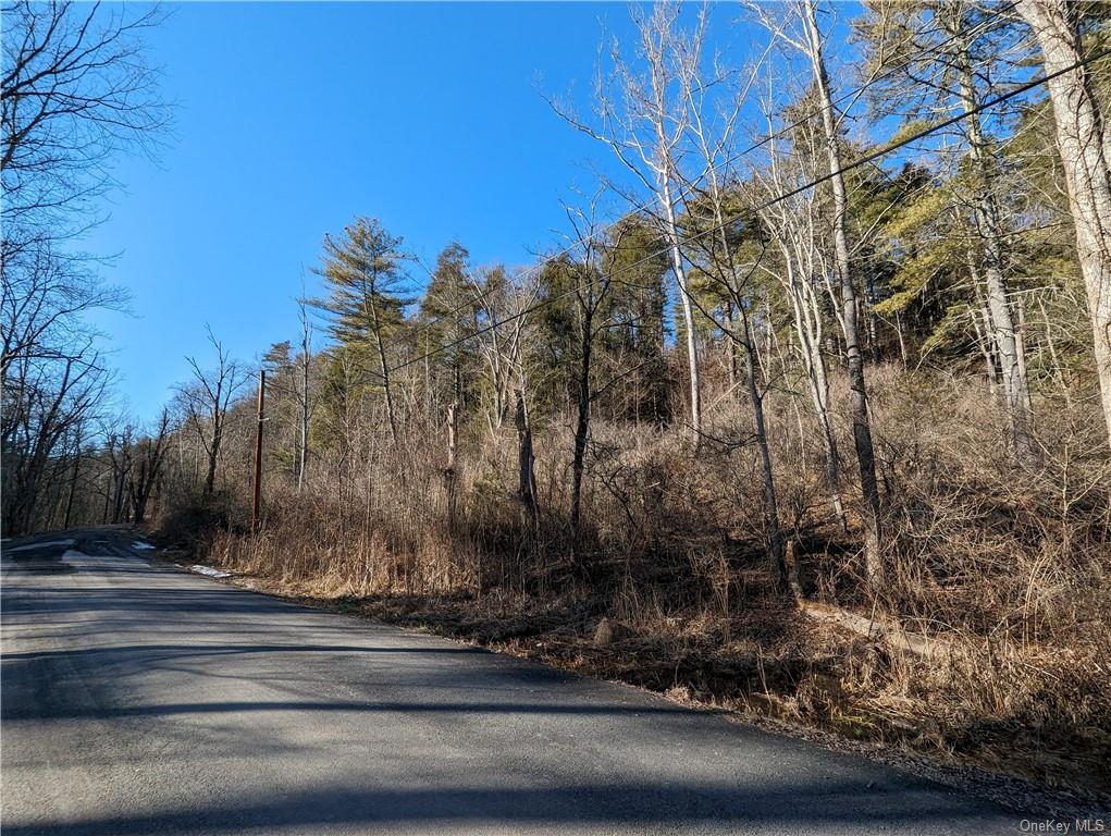 Lundy Road, Wawarsing, New York image 30