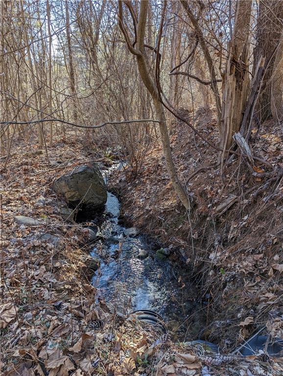 Lundy Road, Wawarsing, New York image 6