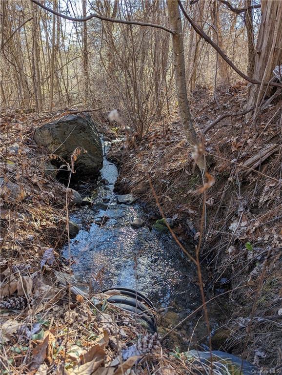 Lundy Road, Wawarsing, New York image 7