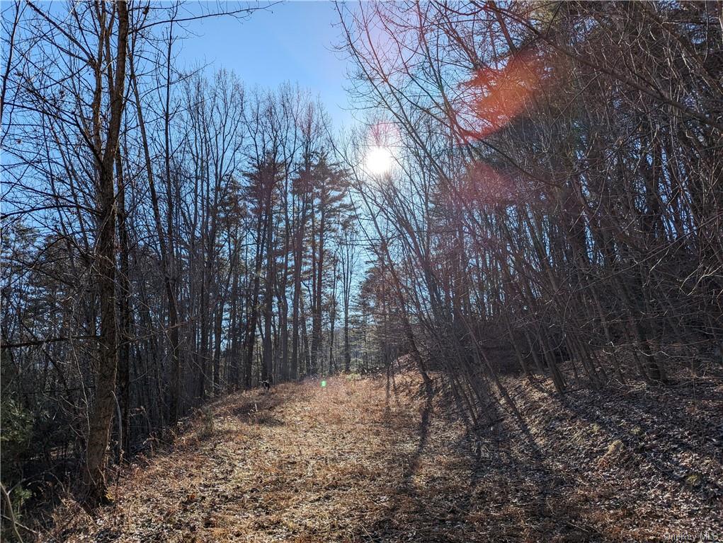 Lundy Road, Wawarsing, New York image 9