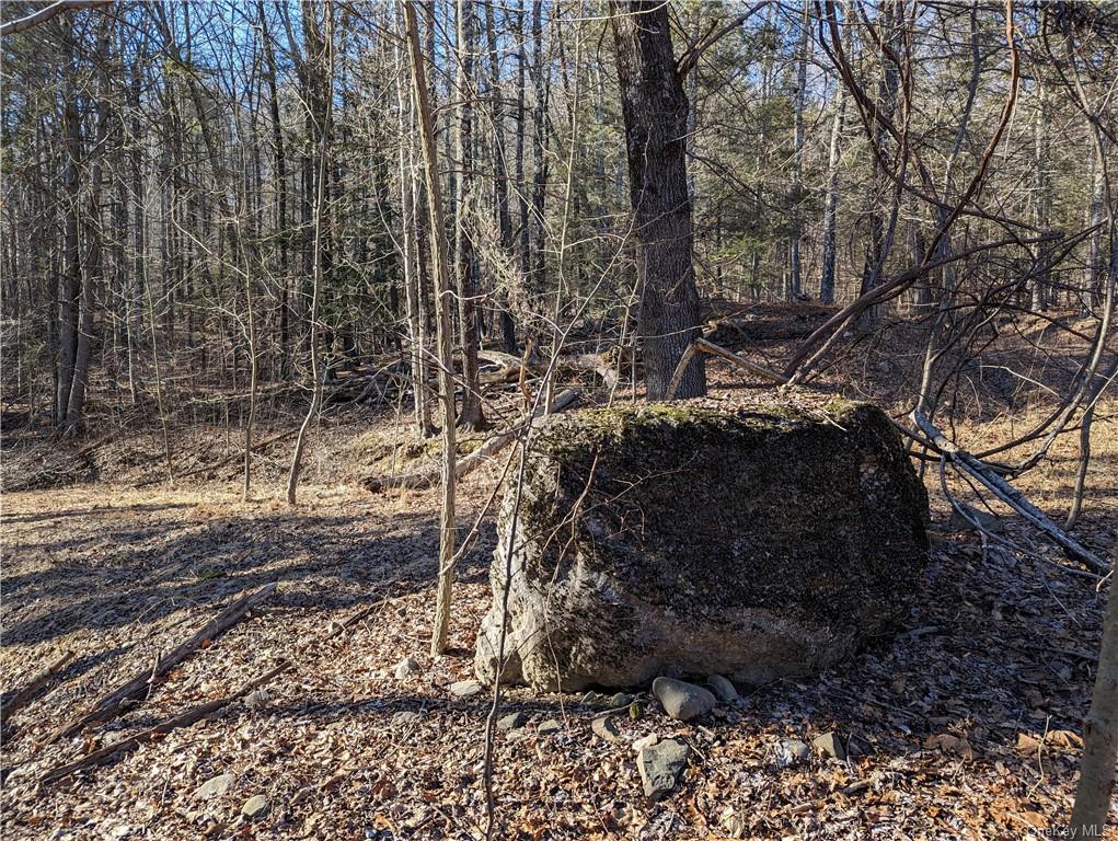 Lundy Road, Wawarsing, New York image 18