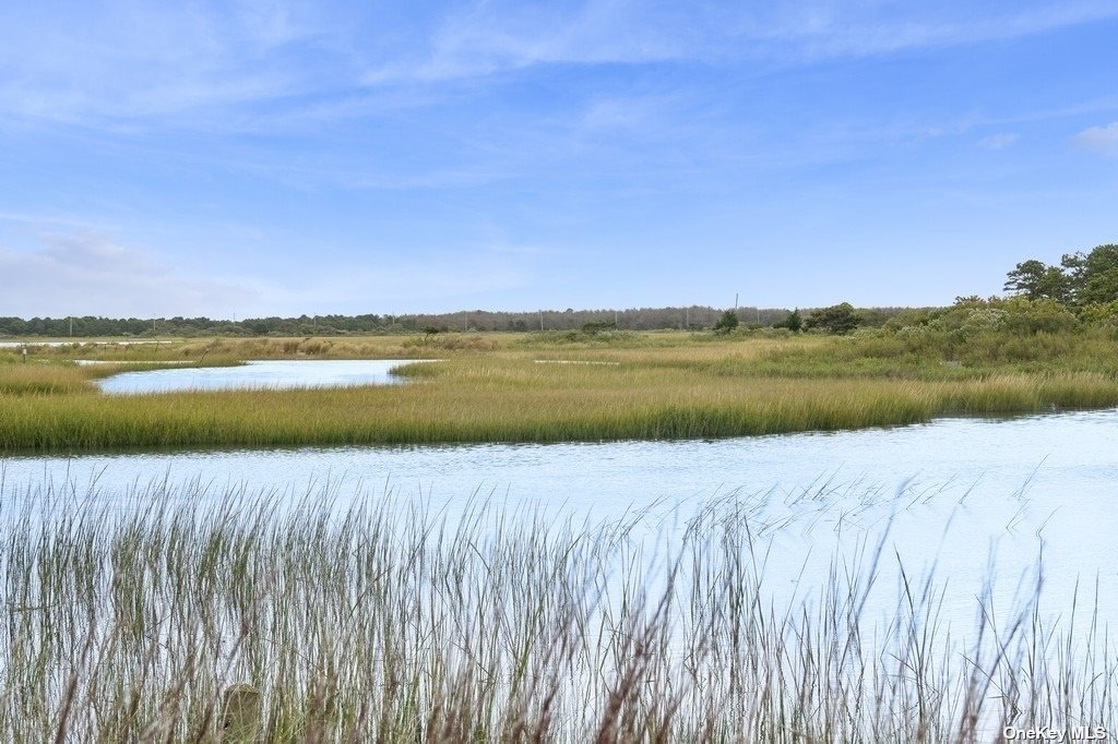 53 Crassen Boulevard #31, Amagansett, New York image 14