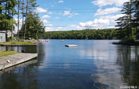 Unimproved Land in Other NY 302 Hadlock Pond Road.jpg