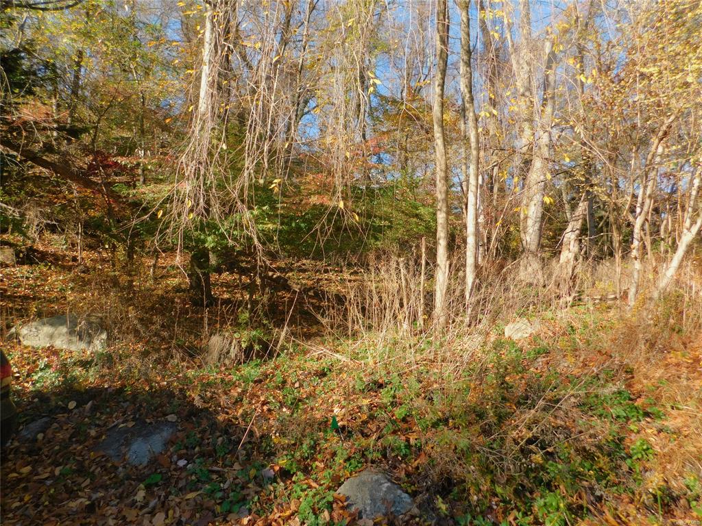 Lot 25 Enloe Street, Lake Peekskill, New York image 2