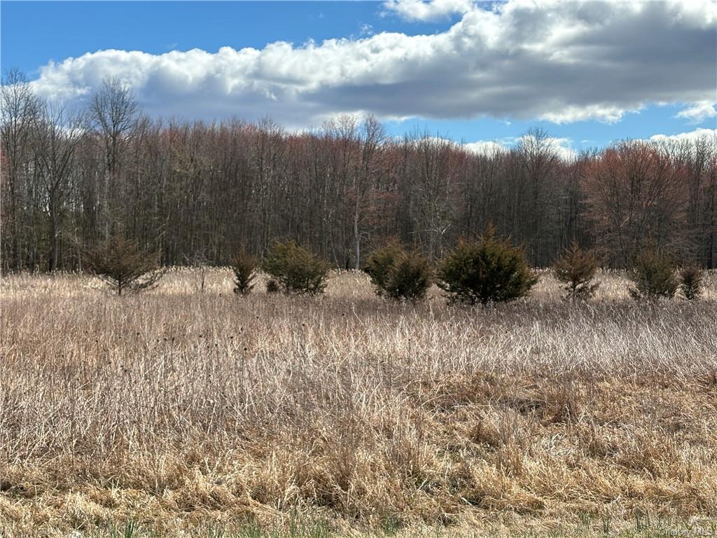 Drexel Drive, Pine Bush, New York image 5