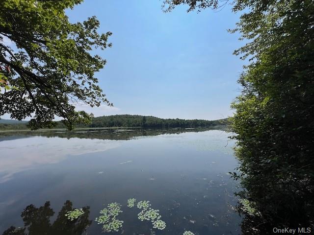 Lot 68 Shore Road, Swan Lake, New York image 5