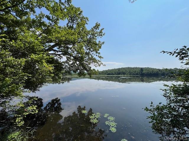 Lot 68 Shore Road, Swan Lake, New York image 1