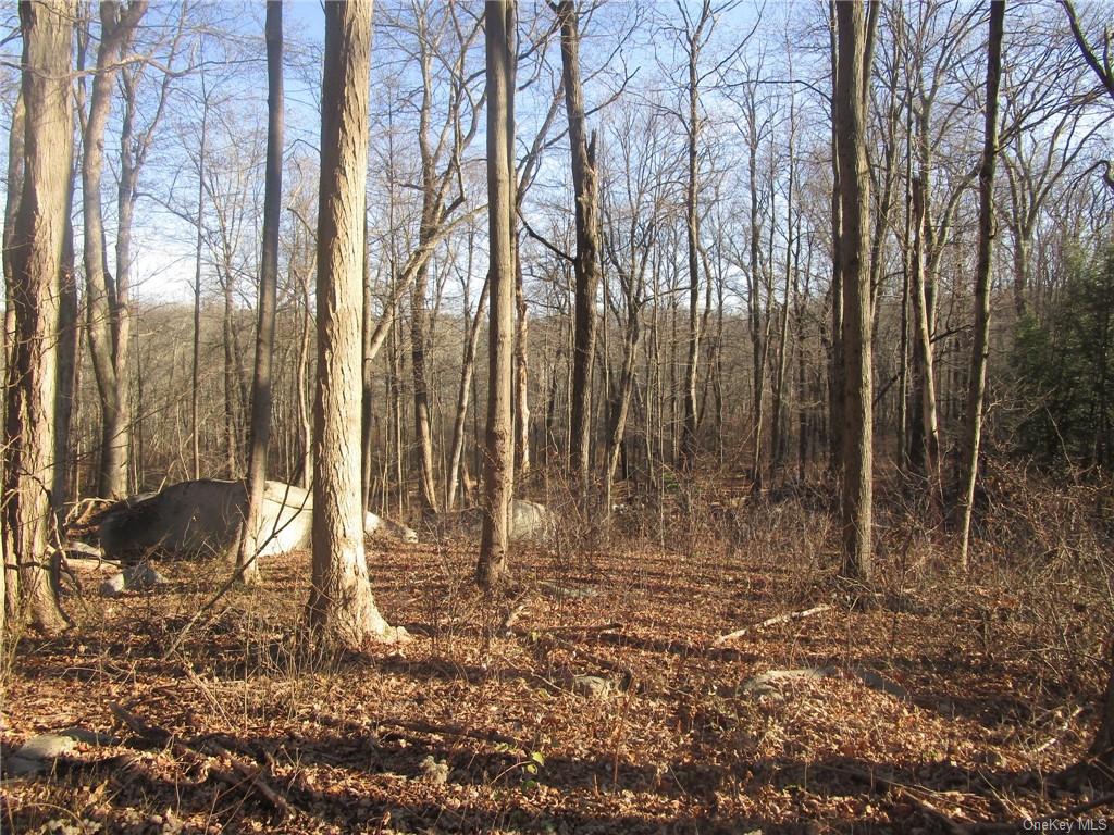 Bear Mt/brookside, Cortlandt Manor, New York image 1