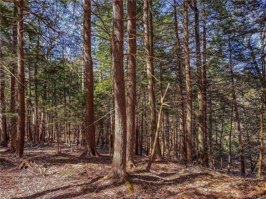 Pumpkin Holw Road, Davenport, New York image 16