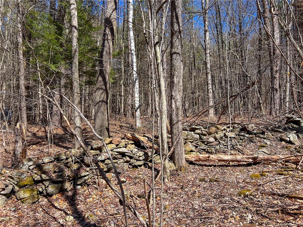 Pumpkin Holw Road, Davenport, New York image 11