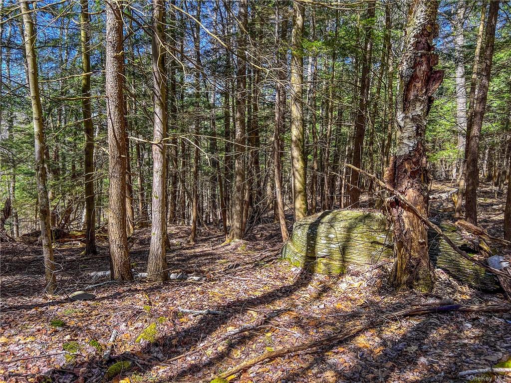 Pumpkin Holw Road, Davenport, New York image 15