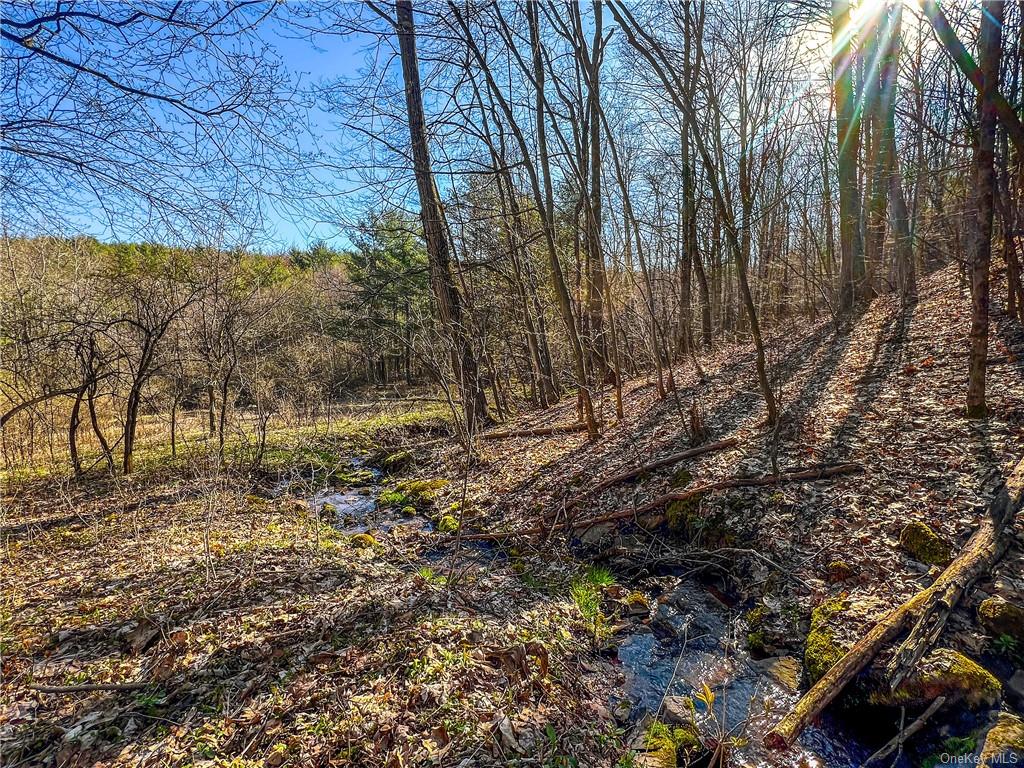 Pumpkin Holw Road, Davenport, New York image 6