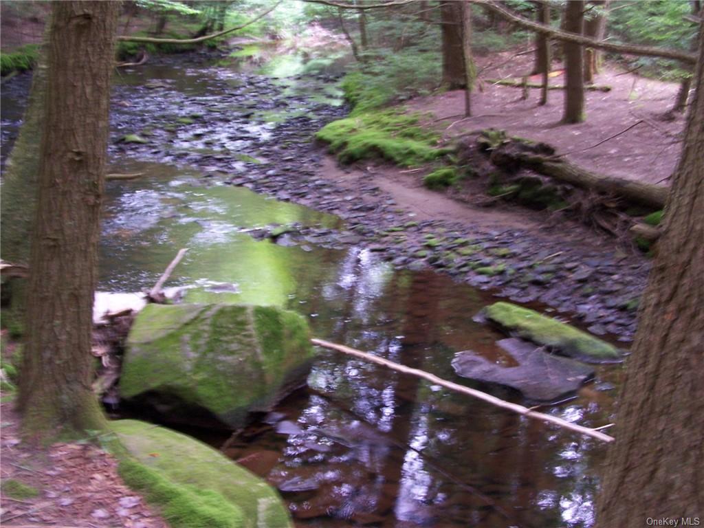 Hasbrouck Country Club Road, Fallsburg, New York image 4