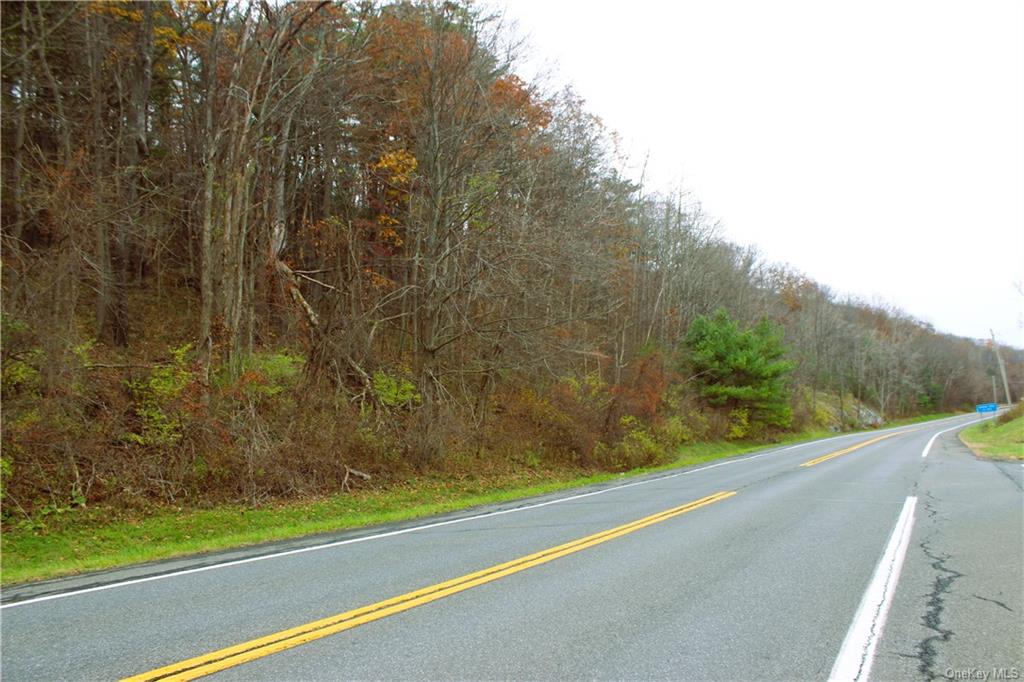 00 State Route 22, Ancram, New York image 9