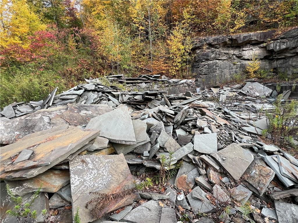 Shaver Hollow Road, Andes, New York image 11