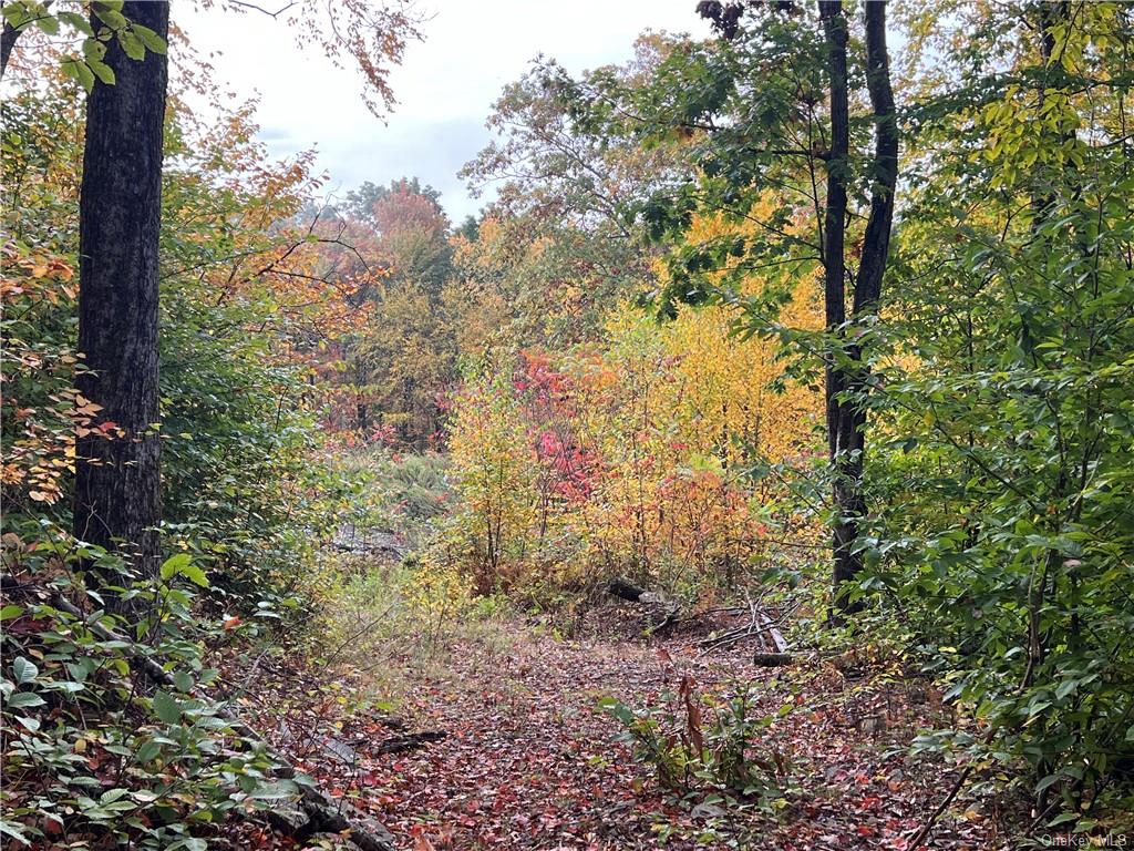 Shaver Hollow Road, Andes, New York image 15