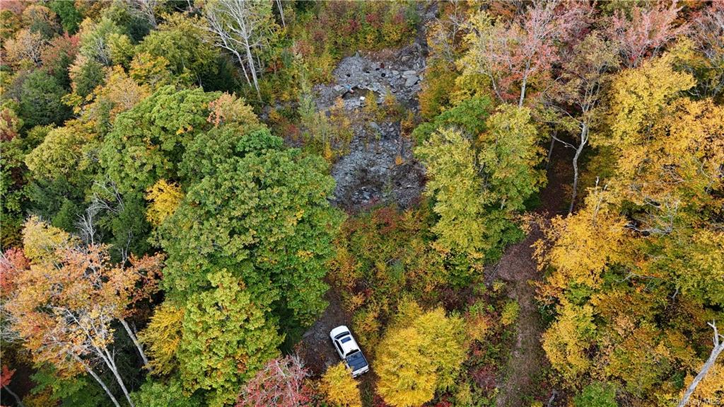 Shaver Hollow Road, Andes, New York image 6