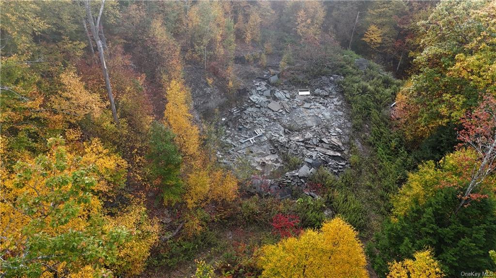 Shaver Hollow Road, Andes, New York image 3