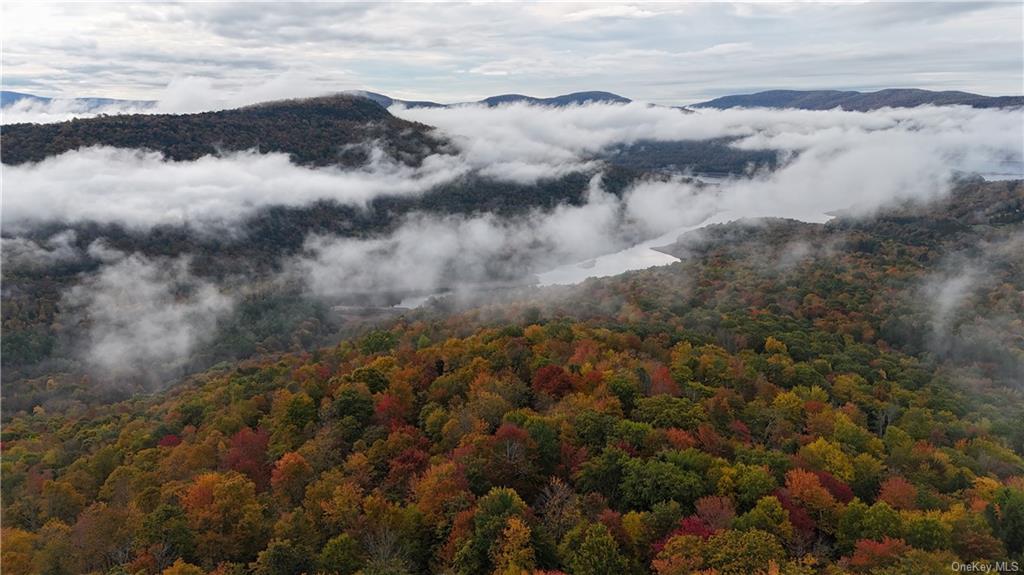 Shaver Hollow Road, Andes, New York image 2