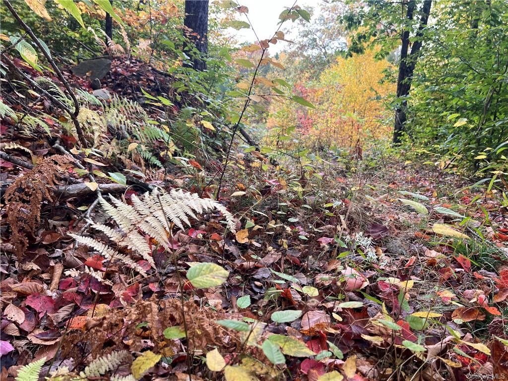 Shaver Hollow Road, Andes, New York image 14