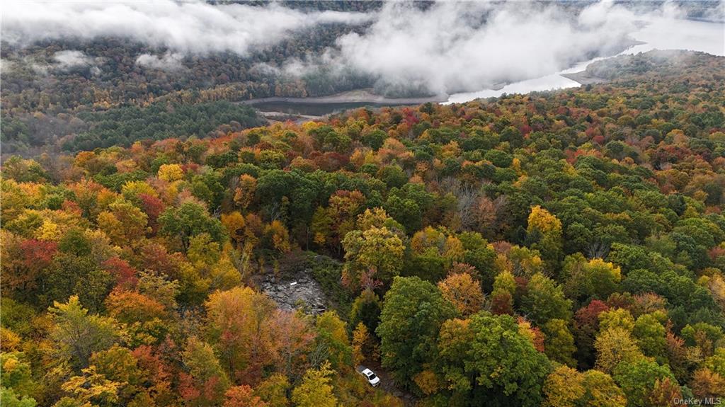 Shaver Hollow Road, Andes, New York image 7