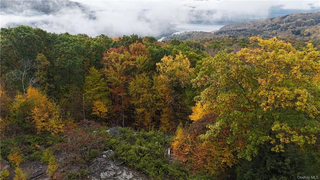 Shaver Hollow Road, Andes, New York image 5