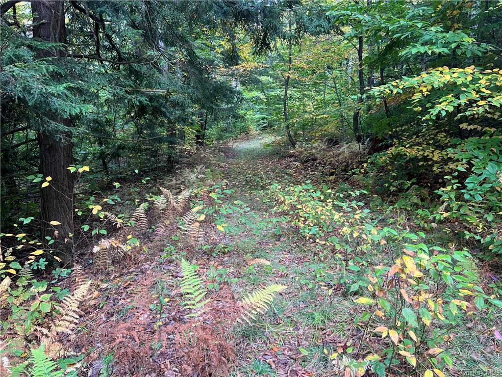 Shaver Hollow Road, Andes, New York image 16