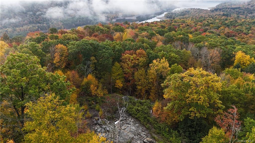 Shaver Hollow Road, Andes, New York image 4