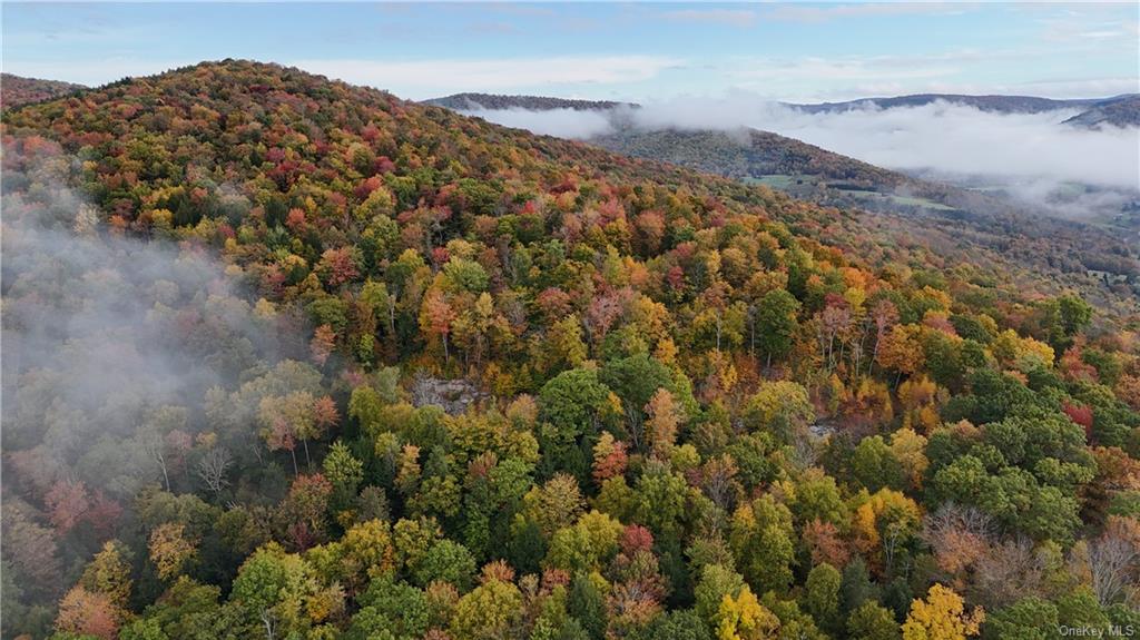 Shaver Hollow Road, Andes, New York image 1