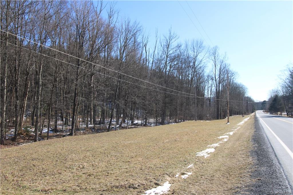 Shandelee Road, Youngsville, New York image 12