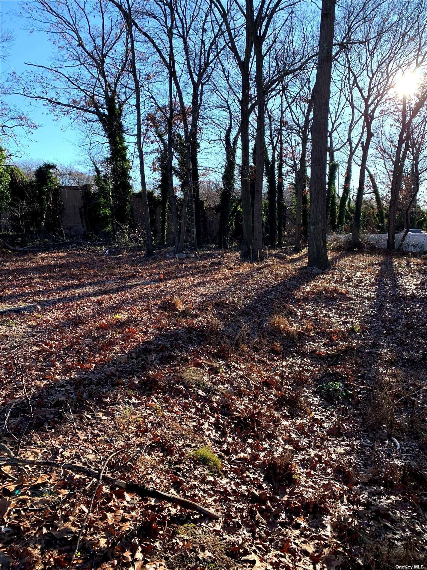 Photo 1 of 2 of 4236 Express Drive land