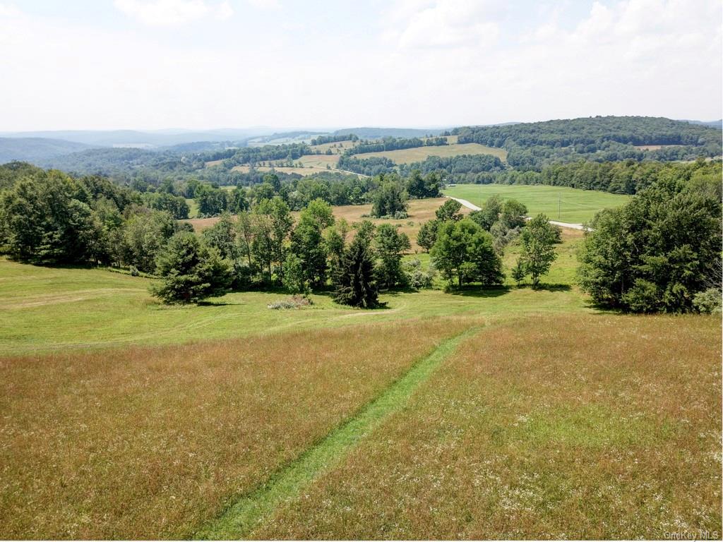 Beechwoods Road, Callicoon, New York image 6