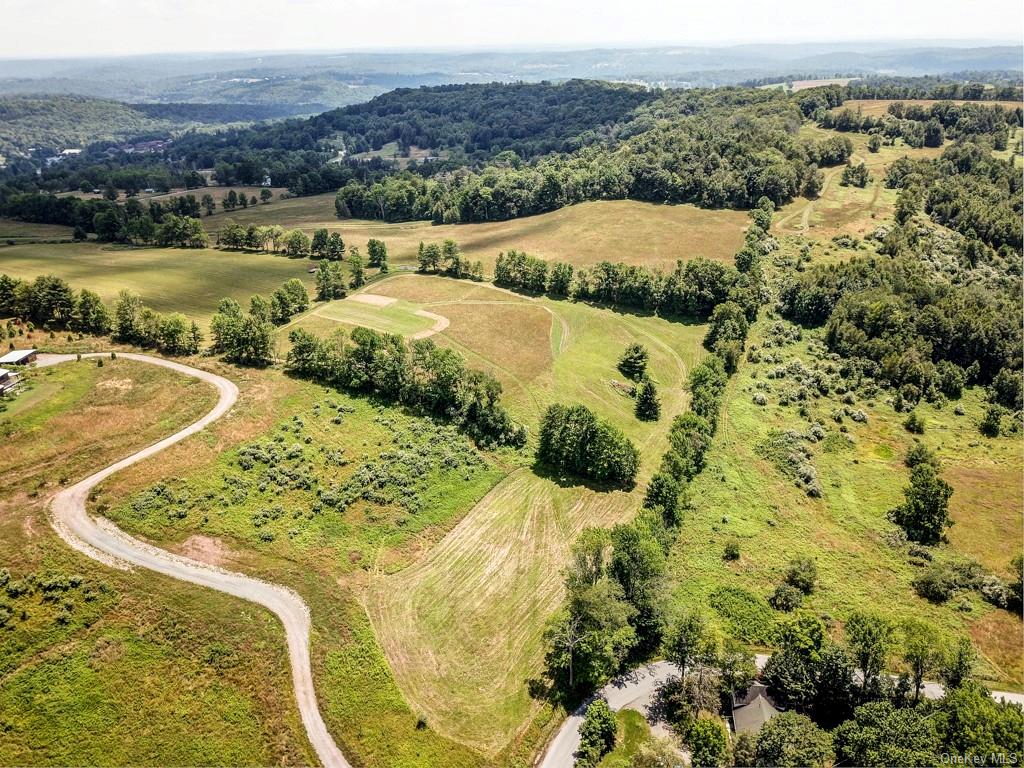 Beechwoods Road, Callicoon, New York image 2