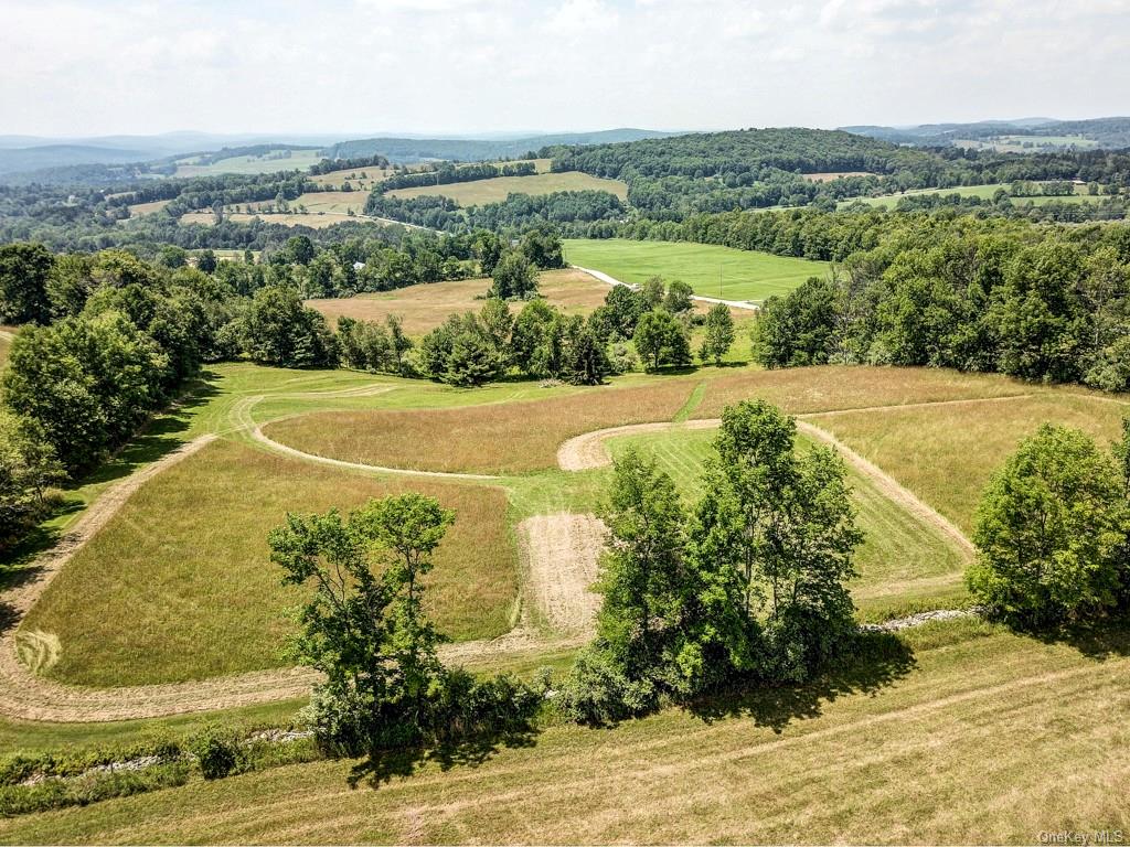 Beechwoods Road, Callicoon, New York image 4