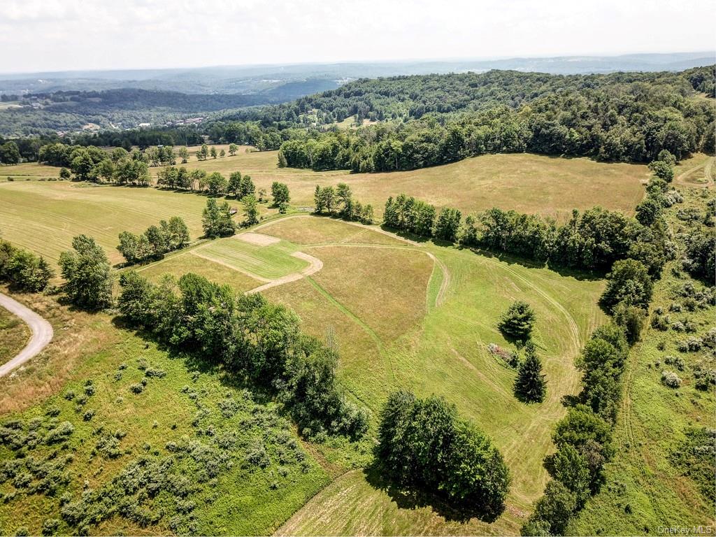 Beechwoods Road, Callicoon, New York image 3