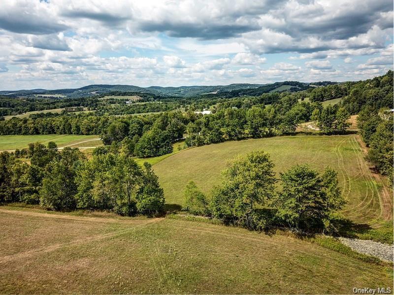 Beechwoods Road, Callicoon, New York image 8