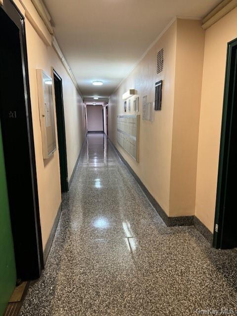 730 E 232nd Street #1C, Bronx, New York image 4